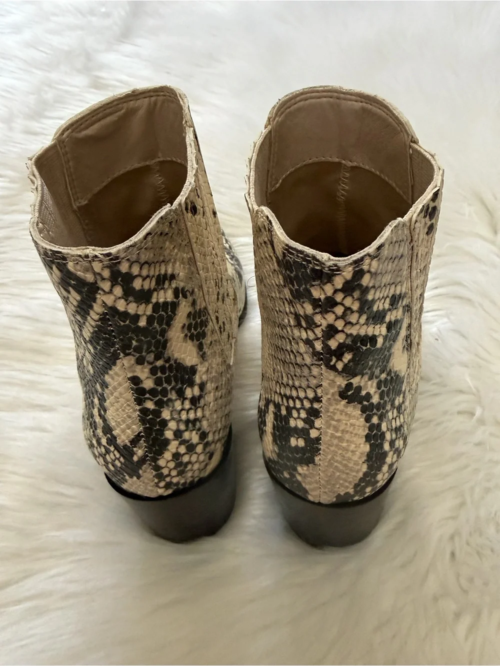 Steve Madden Jain Black & Cream Snake-Print Ankle Booties Sz 6.5